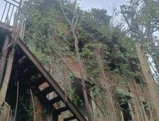 Дом с видом на море. 