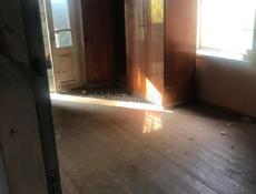 52 кВ м в Пицунде Цитрусовый совхоз