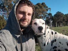 Далматин на случку