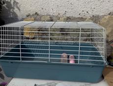Клетка для кролика 