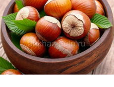 Орех фундук покупаем 