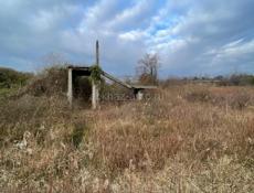 Цандрипш 15 соток