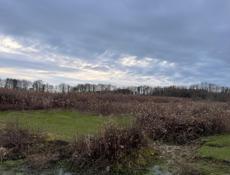 30 соток Золотой берег