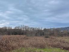 30 соток Золотой берег