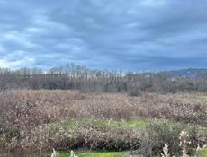 30 соток Золотой берег