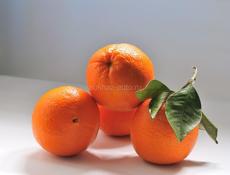 Куплю апельсины с сада , соберу сам  . Цена договорная 