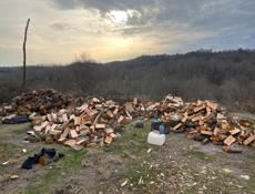 Дрова колотый 