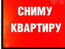 Сниму квартиру или дом 