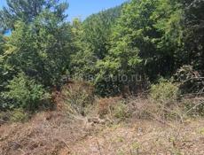 Гагра Цандрипш 