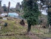   Санаторий строитель 