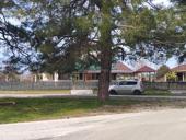 Молочный племсовхоз