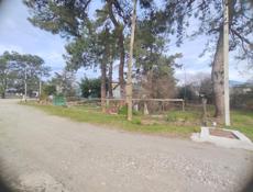 Молочный племсовхоз