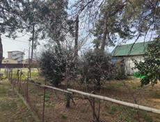 Молочный племсовхоз