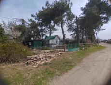 Молочный племсовхоз