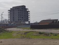 Молочный племсовхоз