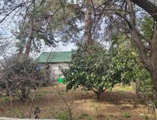 Молочный племсовхоз