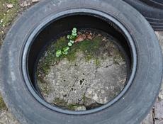 Шинный 205/60/R16