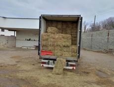 Сено в тюках