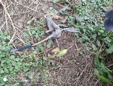 Разбор БМВ е 39