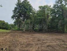 Продажа участка  🚨 Срочно ‼️ цандрипш ровное место !!