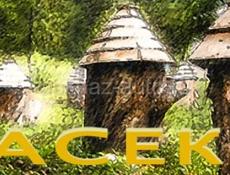 Требуется рассказчик на пасеку