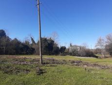 В Очамчырском районе, с. Араду, продаётся участок более 50 соток с дополнительной прилегающей территорией