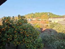 Продажа земельного участка 