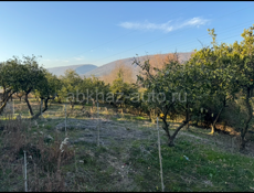 Продается дом !!!