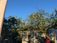 Продается дом !!!