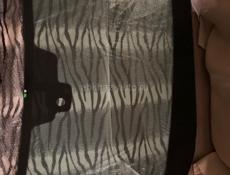 Лобовое фуга 