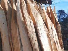 Колышки из акации 