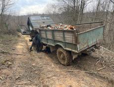 Дрова колотый и не колотый 