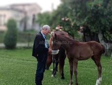 Земельные участки!