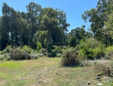 Аэропорт ! Срочно !