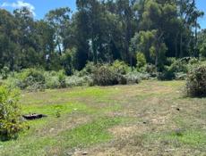 Аэропорт ! Срочно !