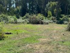 Аэропорт ! Срочно !