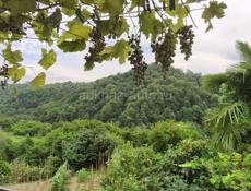 Срочно продается дом 