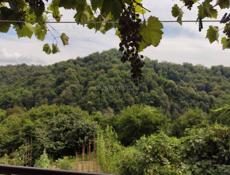 Срочно продается дом 