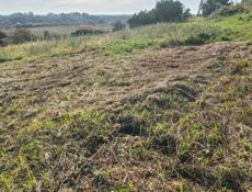 ГУЛРПШСКИЙ Р-ОН СЕЛО ШАП 20сот Цэна договарнная