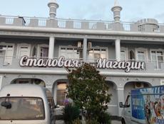 Поросято продою 3 мс