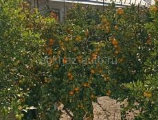 продается дом 