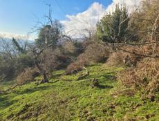 Гагра Срочно 