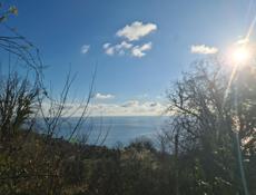 Гагра Срочно 