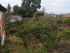 Срочно Мачарка