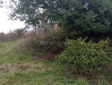 Срочно Мачарка