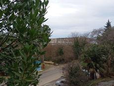 Срочно Мачарка