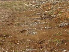 Земельный участок и два номера в г.Гагра 20 сот