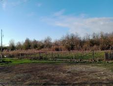 Гулрыпшски р-ион, Агудзера,срочно продается земельный участок 15сотых,или возможно обмен на машину ,