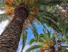 Куплю квартиру 