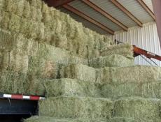 Сено разнотравье 